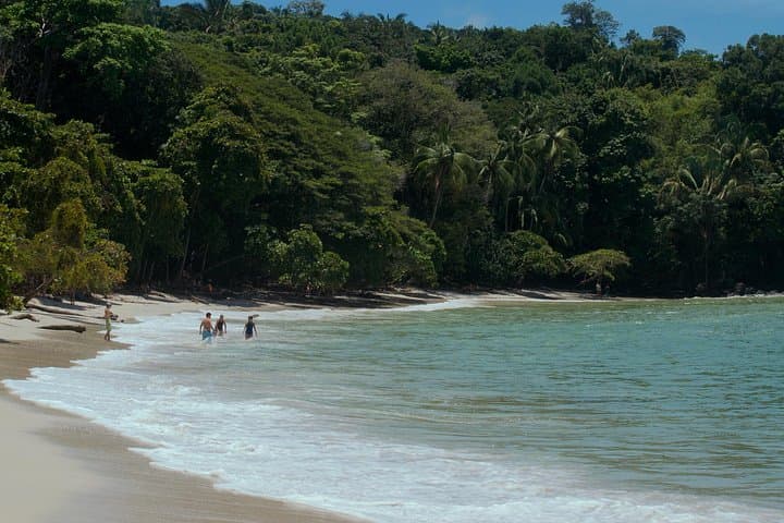 Manuel Antonio National Park Tour: Wildlife Walks & Beach Time in Costa Rica photo 3