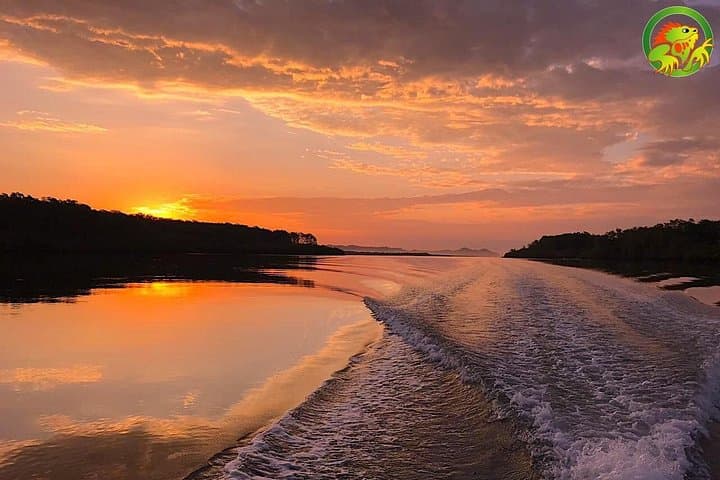 Damas Mangrove Boat Tour — Isla Damas Wildlife Cruise from Quepos photo 3