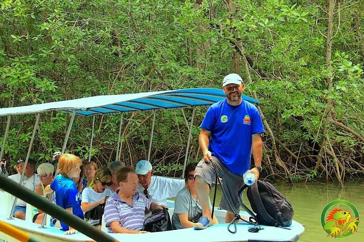 Damas Mangrove Boat Tour — Isla Damas Wildlife Cruise from Quepos photo 4