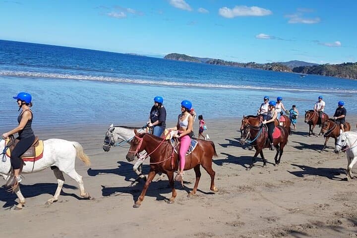 Horseback Riding to Conchal Beach from Tamarindo & Flamingo — Coastal Trail Ride in Guanacaste photo 5
