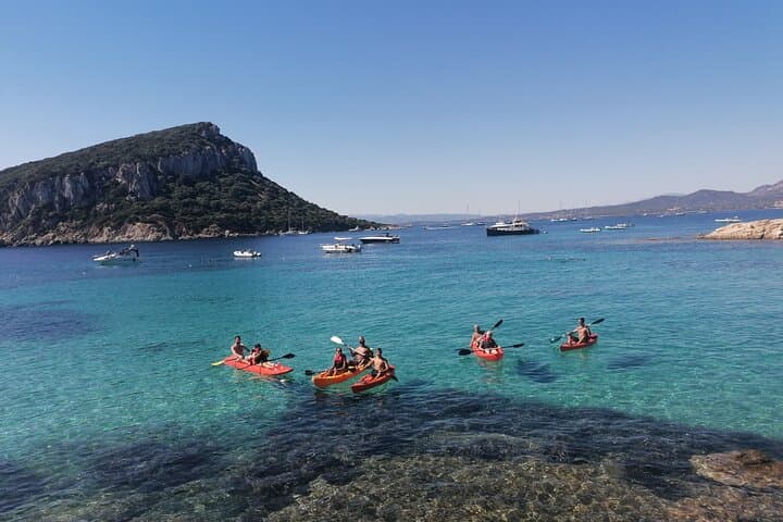 Kayak to Cala Moresca & Figarolo: Dolphins, Snorkel and Sardinian Aperitif