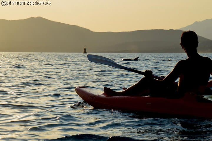 Kayak to Cala Moresca & Figarolo: Dolphins, Snorkel and Sardinian Aperitif photo 6