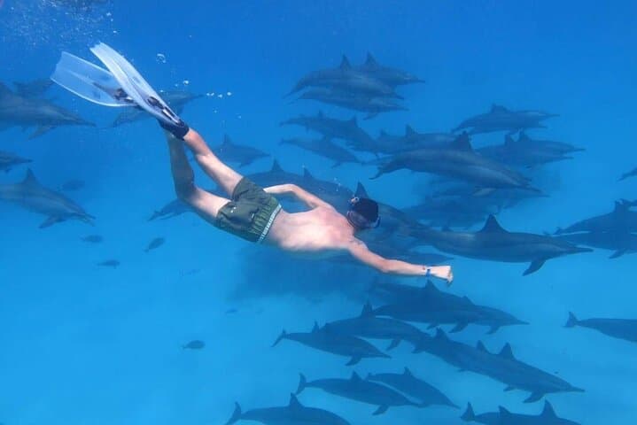 Hurghada Dream Island — Full-Day Giftun Boat Trip, Snorkeling & Private Beach photo 4