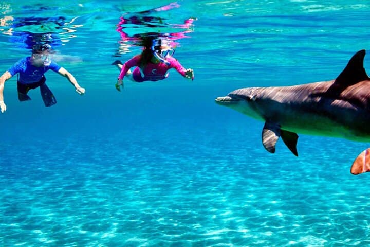 Hurghada Dream Island — Full-Day Giftun Boat Trip, Snorkeling & Private Beach photo 5