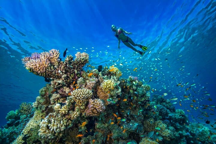 Hurghada Dream Island — Full-Day Giftun Boat Trip, Snorkeling & Private Beach photo 6