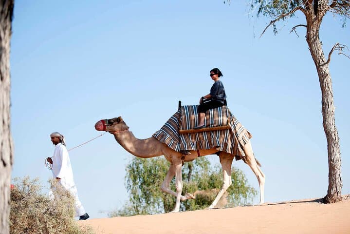 Sunset Camel Ride & Bedouin BBQ in Ras Al Khaimah Desert photo 6