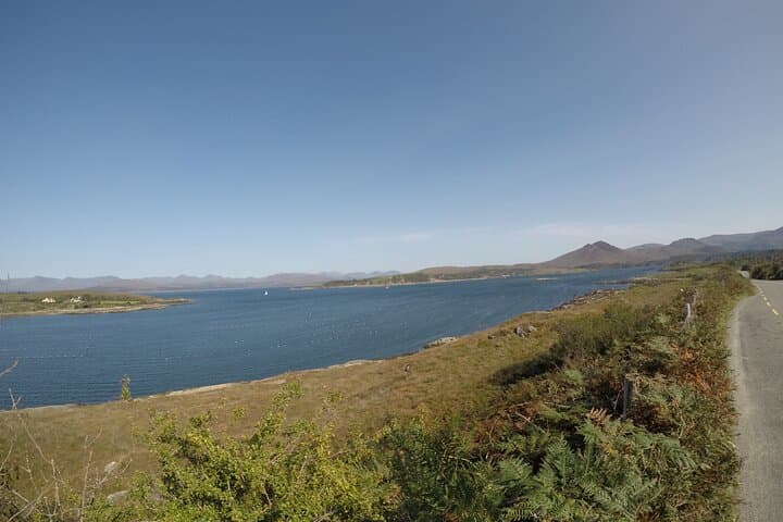 Mizen Head Day Trip from Kenmare: Caha Pass, Durrus Cheese & Atlantic Cliffs photo 3