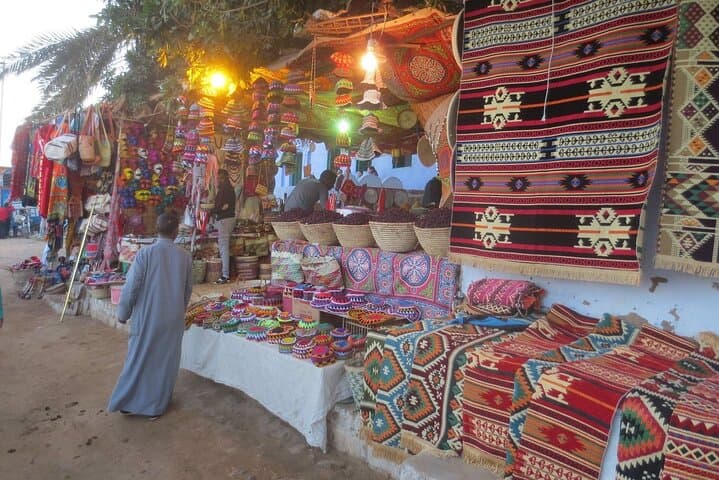 Half-Day Aswan Tour: Kitchener's Island & Nubian Village photo 3