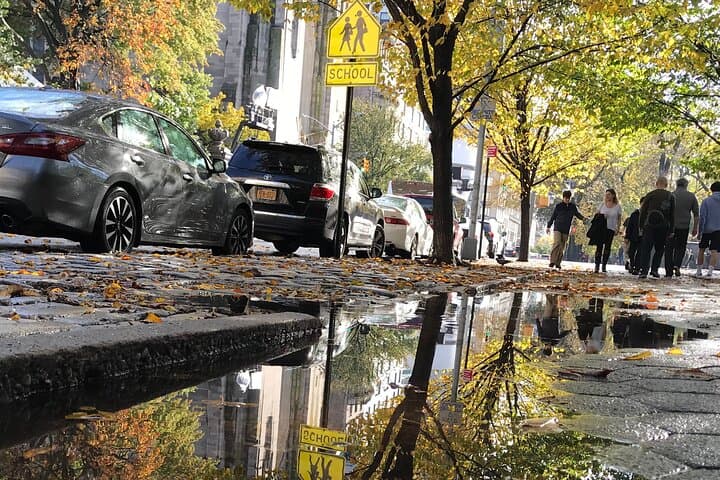 Live Interactive 60-Min Driving Tour of Manhattan — Virtual NYC Sightseeing & Insider Guide photo 5