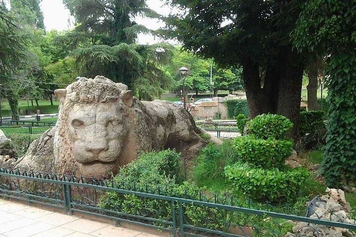 Middle Atlas Cedar Forest & Azrou Day Trip from Fez — Monkeys, Berber Villages & Ski Slopes photo 4