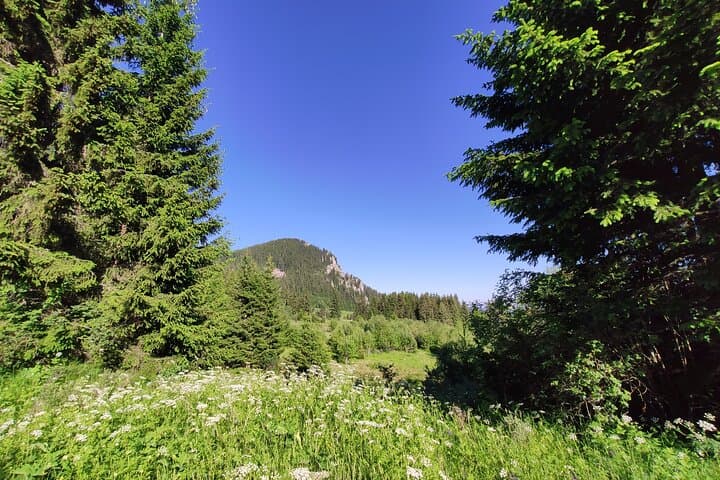 Hike and Fly Vitosha Mountain: Guided Paragliding and Summit Trek from Sofia photo 5