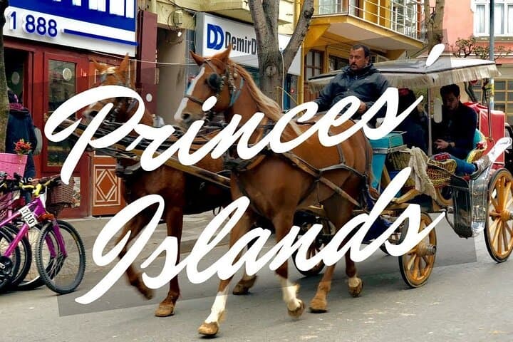Büyükada Day Trip from Istanbul: Ferry Ride, Horse-Drawn Carriage & Lunch