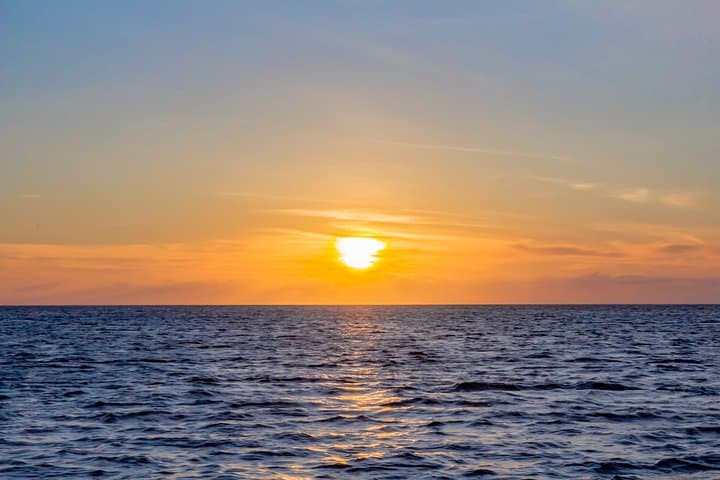 Aruba Sunset Catamaran Cruise Aboard the Dolphin — 2-Hour Sunset Sail with Open Bar photo 6
