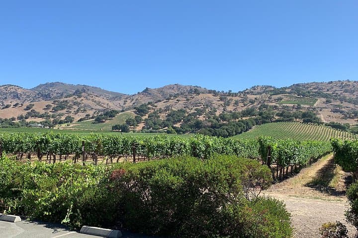 Private Napa and Sonoma Wine Tour — 6–8hr Custom XL SUV Experience photo 5