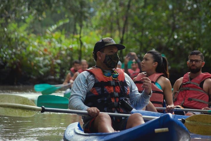 Paddling Damas Island: Guided Mangrove Kayak Tours from Manuel Antonio