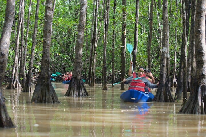 Paddling Damas Island: Guided Mangrove Kayak Tours from Manuel Antonio photo 6