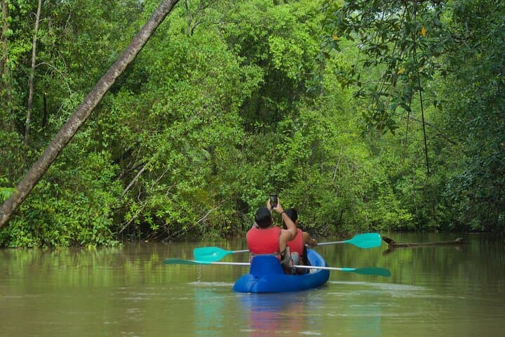Paddling Damas Island: Guided Mangrove Kayak Tours from Manuel Antonio photo 5