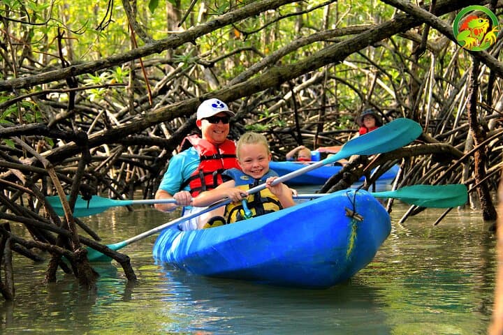 Paddling Damas Island: Guided Mangrove Kayak Tours from Manuel Antonio photo 4