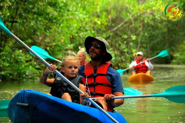 Paddling Damas Island: Guided Mangrove Kayak Tours from Manuel Antonio photo 3
