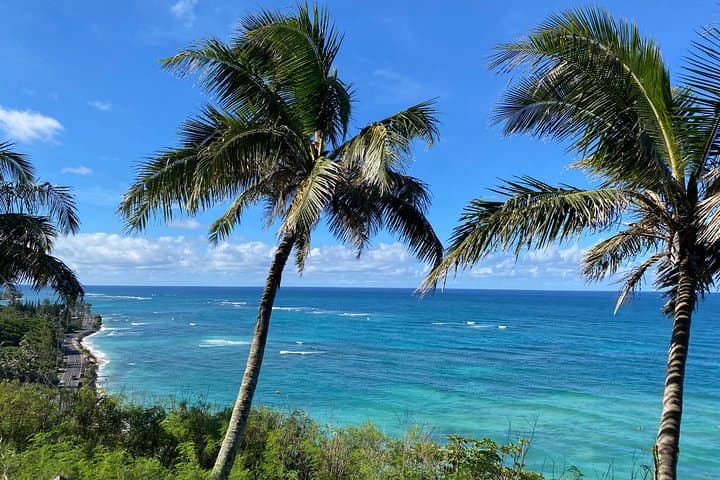 private-circle-island-off-the-beaten-oahu-tour-secluded-beaches-local-gems photo 3