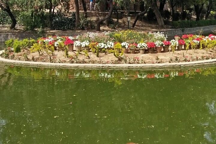 Morning Walk Through Lodhi Gardens: Delhi's Tombs, Trails & Quiet History photo 5