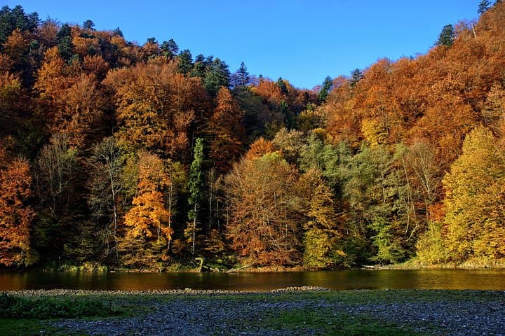 Dunajec River Gorge Rafting: Private Day Trip from Krakow photo 3