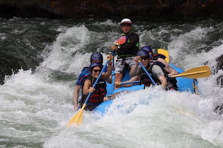 Pacuare River Rafting: Class III–IV Day Trip from San José photo 5