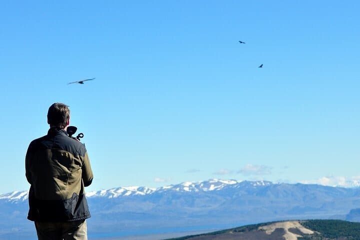 La Buitrera Condor Photo Tour — Private Birdwatching from Bariloche photo 3