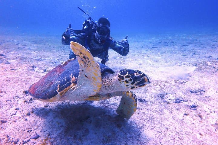 PADI Open Water Certification on Isla Mujeres: 3-Day Scuba Course in Marine Park photo 4
