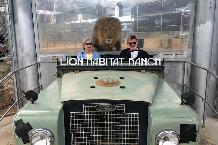 Lion Habitat Ranch Las Vegas: Up-Close Big Cat Encounters & Keeper Chats photo 5