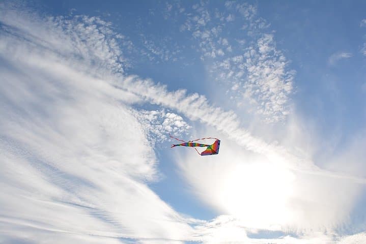 Kite Flying and Turban Tying at Dera Mandawa — Jaipur Terrace Experience photo 5