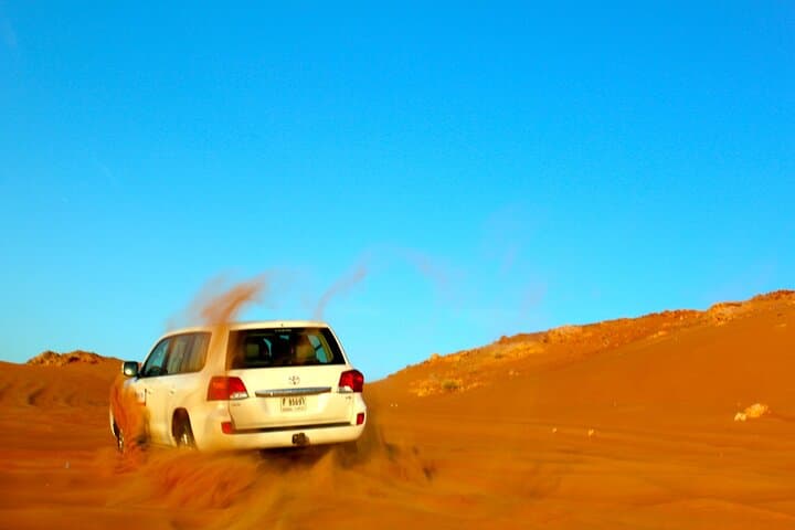 Dubai Shore Excursion: City Tour and Action-Packed Desert Safari photo 5