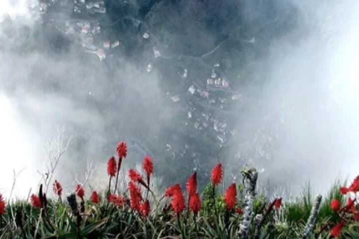 Funchal Shore Excursion: Private Tour to Nuns Valley (Curral das Freiras) photo 5