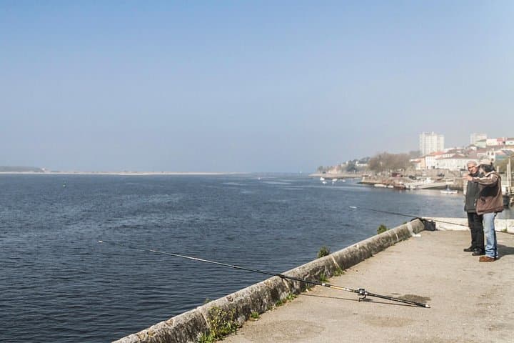 Explore Porto by Day: City Bike Rental, Best Routes & Local Tips photo 3
