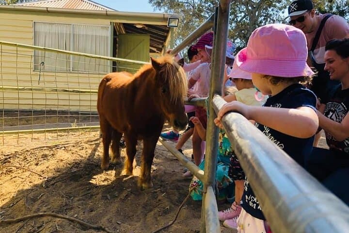 Hands-On Farm Experience at Trevena Glen: 2-Hour Animal Tour Near Brisbane photo 4