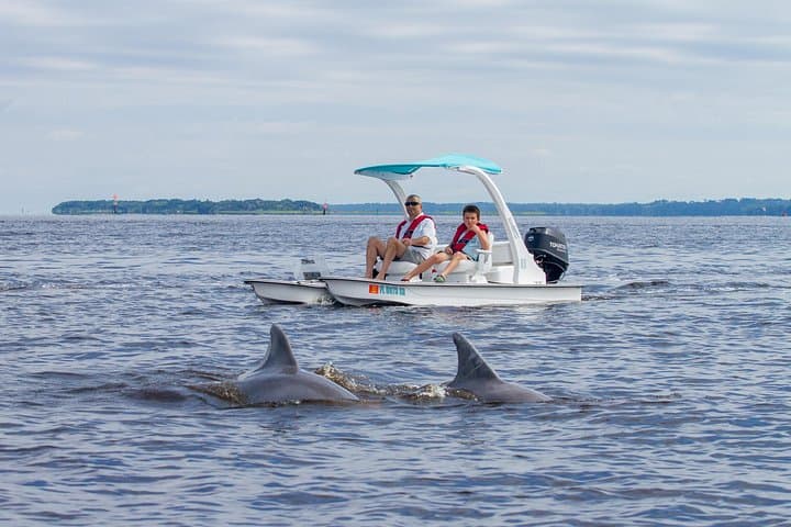 Drive Your Own 2-Seat Catamaran Around Marco Island’s 10,000 Islands photo 2