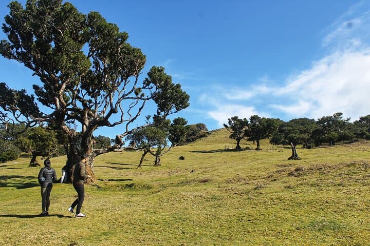 Private 4x4 West Madeira: Custom Off‑Road Day Tour with a Local Guide photo 2