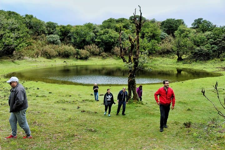 Private 4x4 West Madeira: Custom Off‑Road Day Tour with a Local Guide photo 4