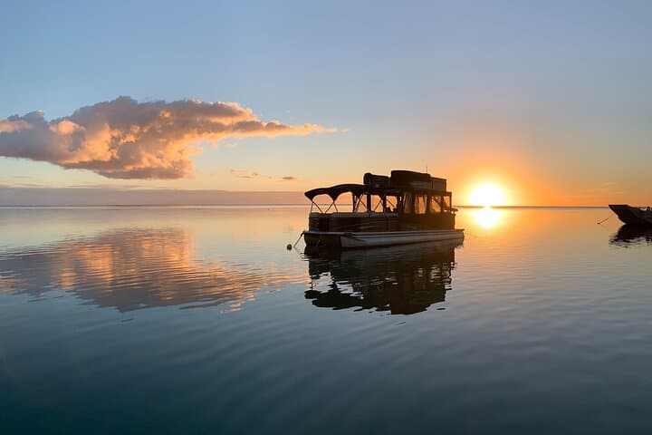 Moorea Sunset Boat Tour: Opunohu Bay, Rays & Sharks at Golden Hour photo 3