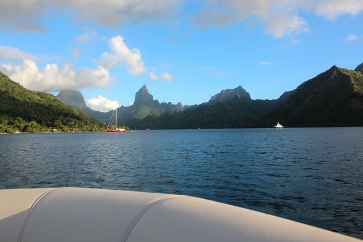 Moorea Sunset Boat Tour: Opunohu Bay, Rays & Sharks at Golden Hour photo 6