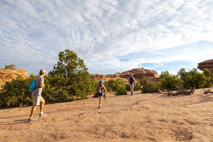 7-Day Private Western National Parks Tour: Las Vegas to San Francisco photo 2