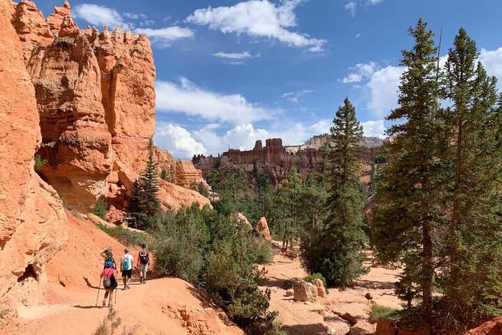 7-Day Southwest Mighty 5 Private Tour — Zion, Bryce, Arches & Grand Canyon Highlights photo 3