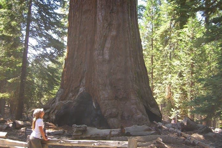 7-Day Private Western National Parks Tour: Las Vegas to San Francisco photo 5