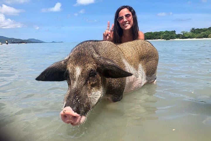 Pigs Island Semi-VIP Speedboat Tour from Koh Samui: Snorkel, Lagoon & Beach photo 1