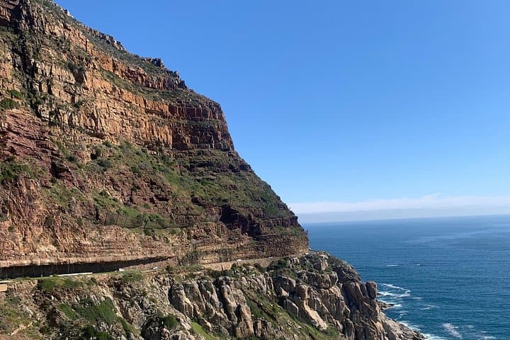 Boulders Beach Penguins and Seal Island Cruise: Half-Day Wildlife Tour from Cape Town photo 3