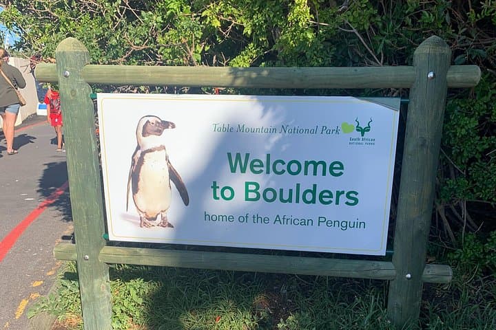 Boulders Beach Penguins and Seal Island Cruise: Half-Day Wildlife Tour from Cape Town photo 4