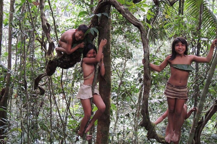 4-Day Private Huaorani Amazon Jungle Adventure from Quito