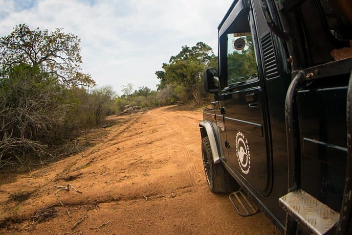 Kumana National Park Half-Day Jeep Safari from Arugam Bay — Birds, Elephants & Coastal Wetlands photo 4