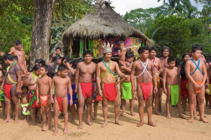 Embera Village and Miraflores Locks Day Trip from Colón: Culture, Canal & Rainforest photo 5