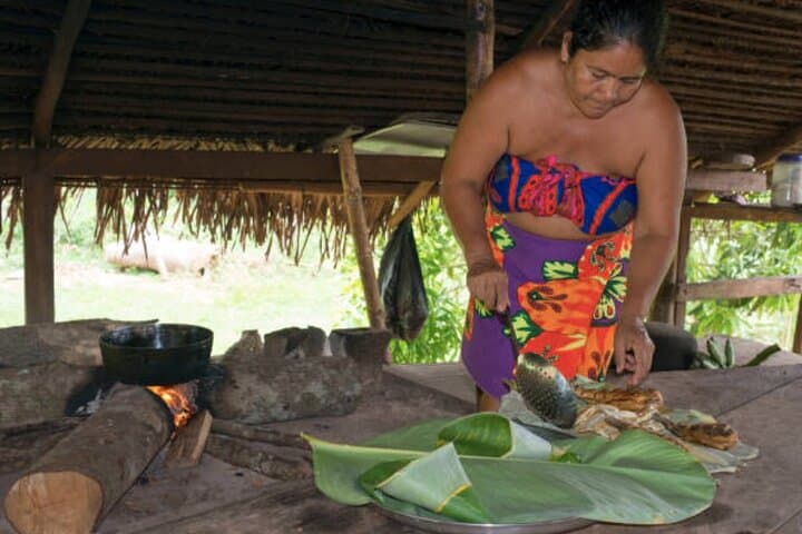 Embera Village and Miraflores Locks Day Trip from Colón: Culture, Canal & Rainforest photo 6